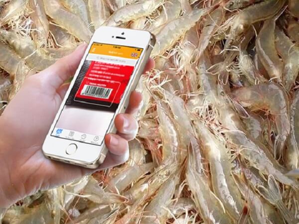 Ap-dung-cong-nghe-truy-xuat-nguon-goc-da-mang-lai-nhieu-ket-qua-tot-cho-doanh-nghiep