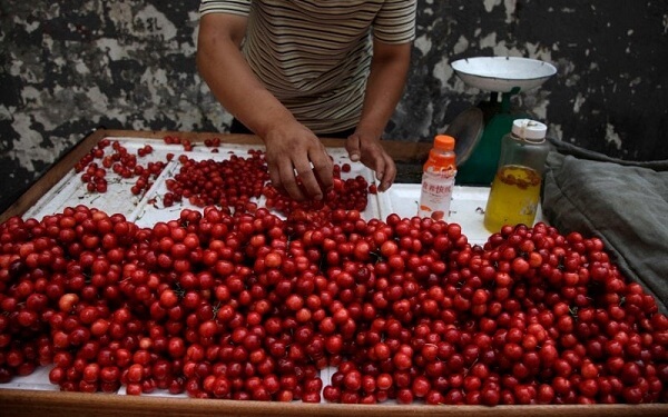 Cherry-Trung-Quoc-tran-ngap-thi-truong-an-chua-benh-tat