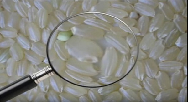 Gao-nhua-gia-khien-nguoi-dan-khiep-so