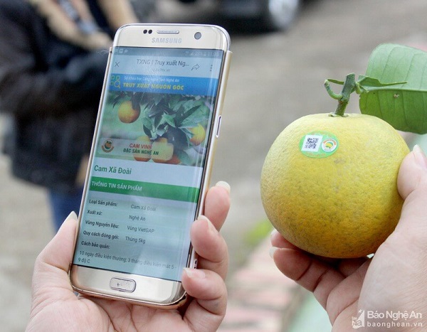 Lua-chon-trai-cam-duoc-truy-xuat-nguon-goc