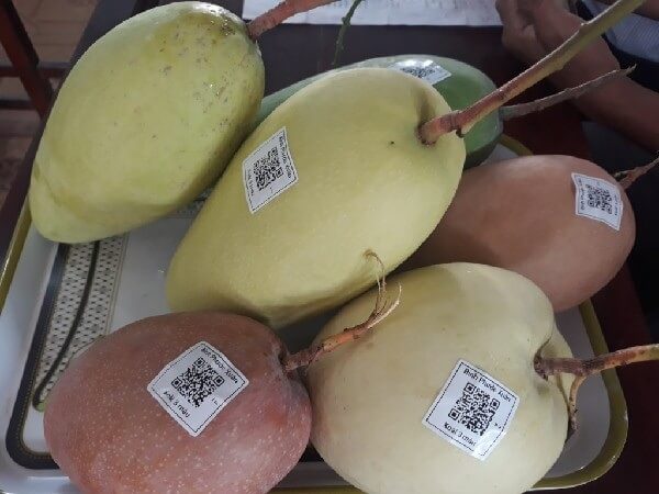 Mot-cach-de-nguoi-tieu-dung-bao-ve-chinh-minh-do-la-mua-nhung-loai-qua-truy-xuat-duoc-nguon-goc