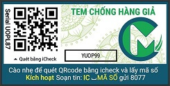 Doanh nghiep co thuc su can tem chong hang gia?