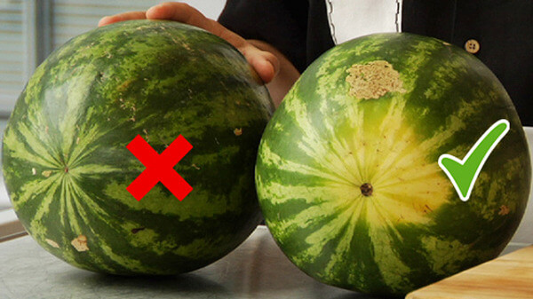 Phan-biet-dua-hau-Trung-Quoc-dua-hau-Viet-Nam