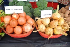 Cach nhan biet hanh tay Trung Quoc don gian 