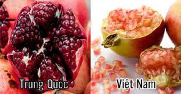 Phan-biet-luu-Trung-Quoc-va-Viet-Nam