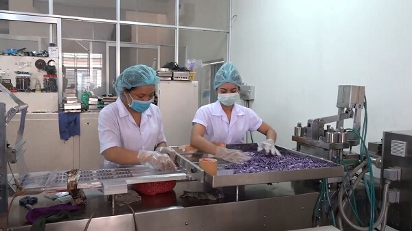 Thuc-pham-chuc-nang-gia-nup-bong-cong-ty-thuoc-tan-duoc