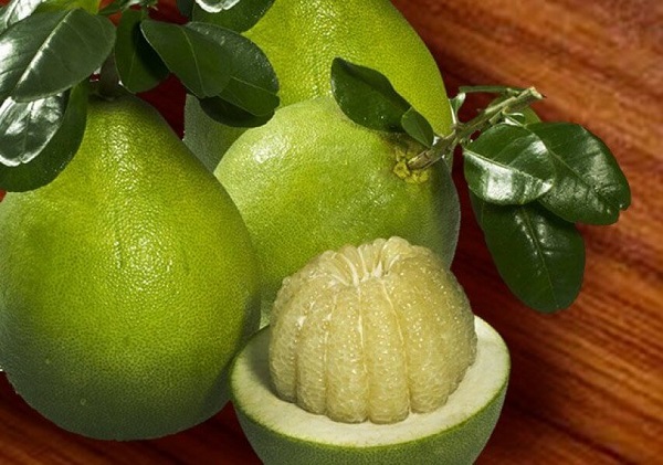 Trai-buoi-trong-mam-ngu-qua