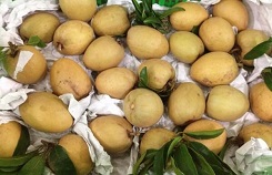 Bí quyết nhận biết hồng xiêm ngâm hóa chất cực chuẩn 