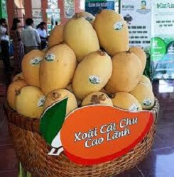 Ap dung cong nghe Block chain trong truy xuat xoai cat chu