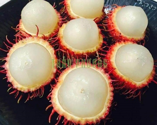 an-thu-chom-chom-truoc-khi-lua-chon-mua