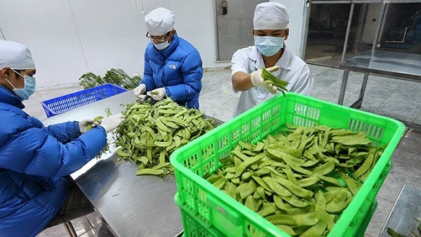 Tại sao cần truy xuất nguồn gốc sản phẩm? Tại sao cần truy xuất nguồn gốc sản phẩm?