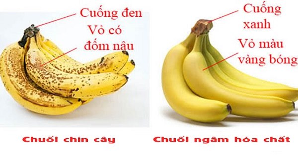 chuoi-ngam-hoa-chat-bat-mat-ve-hinh-thuc