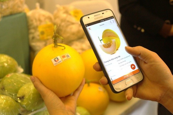 Su khac biet giua truy xuat thong tin va truy xuat nguon goc