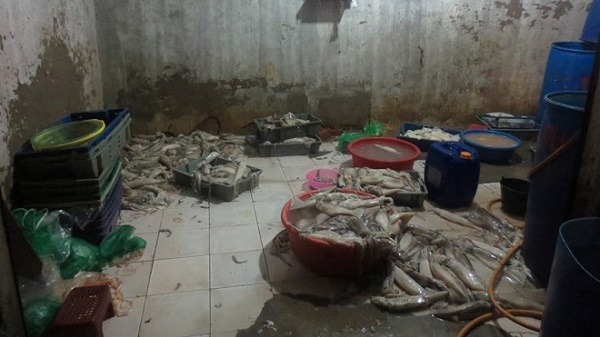 Tình hình tiêu thụ hải sản ngâm hóa chất trên thị trường Tình hình tiêu thụ hải sản ngâm hóa chất trên thị trường