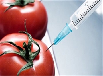 Hóa chất nào ẩn nấp trong thực phẩm không rõ nguồn gốc?