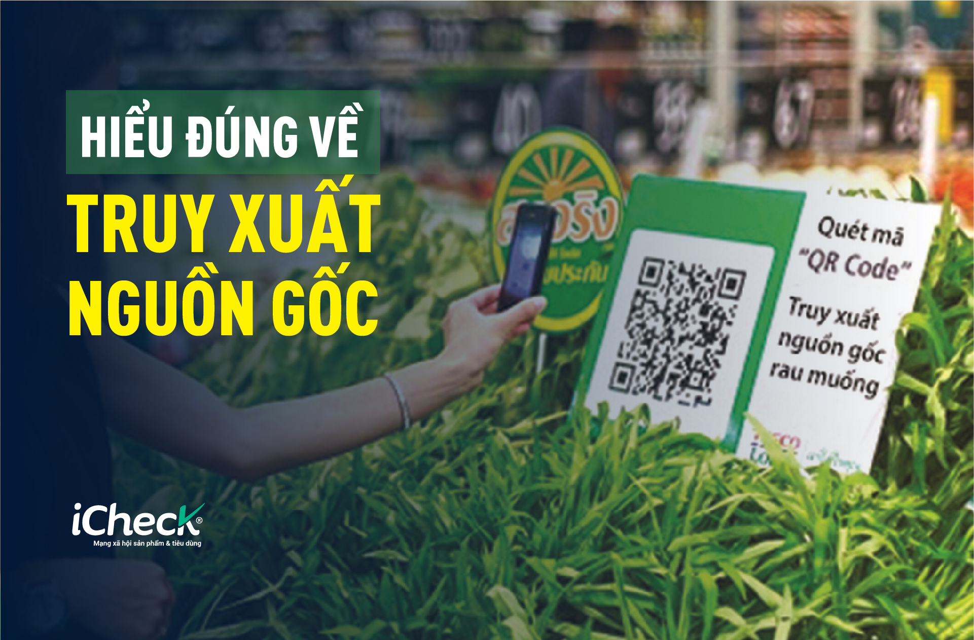 HIEU DUNG HIEU DU VE TRUY XUAT NGUON GOC CHO SAN PHAM OCOP
