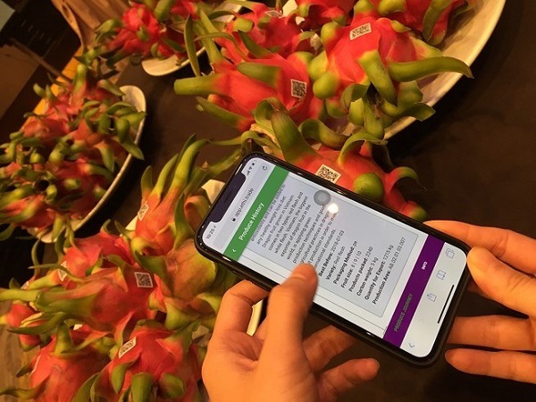 Kinh nghiem dang ky tem chong hang gia tu A - Z