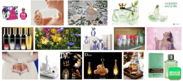 Hình dáng và bao bì sản phẩm