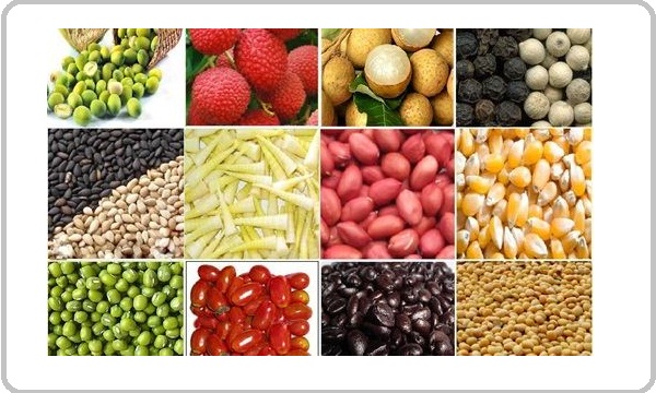 Vì sao doanh nghiệp Việt “khó khăn” khi lấn sang thị trường Trung Quốc? Vì sao doanh nghiệp Việt “khó khăn” khi lấn sang thị trường Trung Quốc?