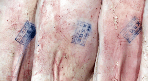 Thực trạng truy xuất nguồn gốc thịt heo trên thị trường Thực trạng truy xuất nguồn gốc thịt heo trên thị trường