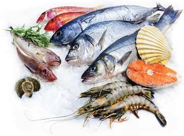 Yêu cầu đối với truy xuất nguồn gốc sản phẩm trong lĩnh vực thủy sản