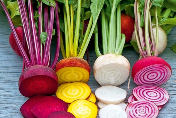 Tìm hiểu về thực phẩm biến đổi gen Tìm hiểu về thực phẩm biến đổi gen