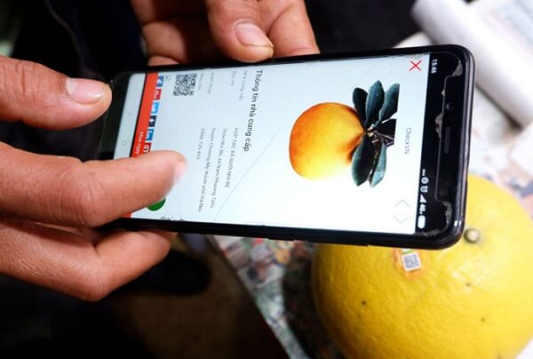 truy-xuat-nguon-goc-nong-san-qua-dien-thoai