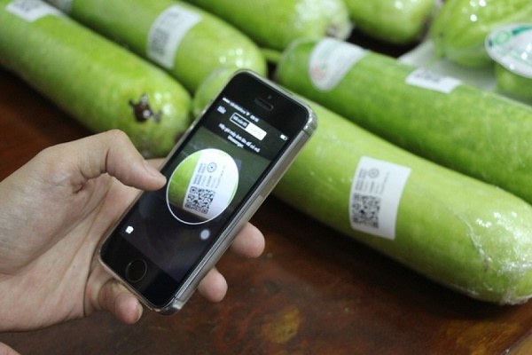 Sử dụng phần mềm quét mã QR code