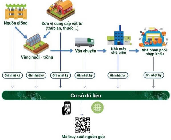 mo-hinh-truy-xuat-nguon-goc-thuc-pham