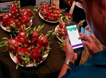 Thiết lập hệ thống truy xuất nguồn gốc như thế nào?